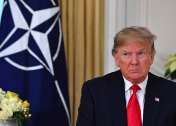 У Трампа ведуть переговори з Путіним про те, скільки він може забрати української території в обмін на нерозширення НАТО, – POLITICO