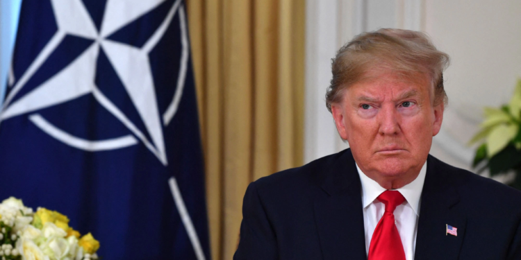 У Трампа ведуть переговори з Путіним про те, скільки він може забрати української території в обмін на нерозширення НАТО, – POLITICO