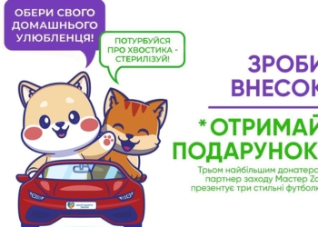 Миколаївців кличуть на благодійний захід для «хвостиків», які утримуються на КП «Центр захисту тварин»