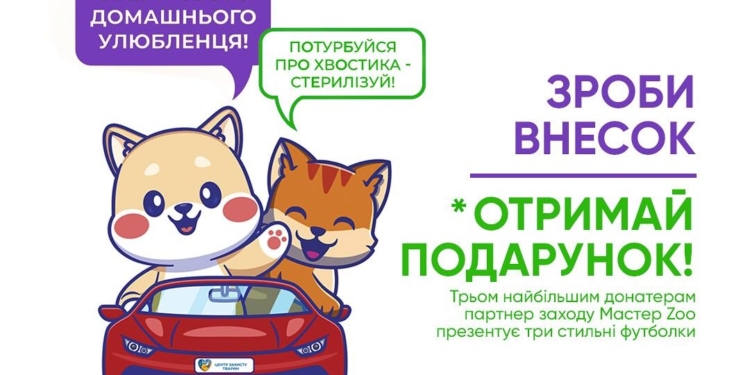 Миколаївців кличуть на благодійний захід для «хвостиків», які утримуються на КП «Центр захисту тварин»