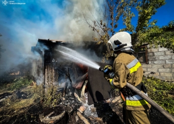 На Миколаївщині в селищі Казанка горіла господарча споруда — вогнеборці врятували житловий будинок (ФОТО)