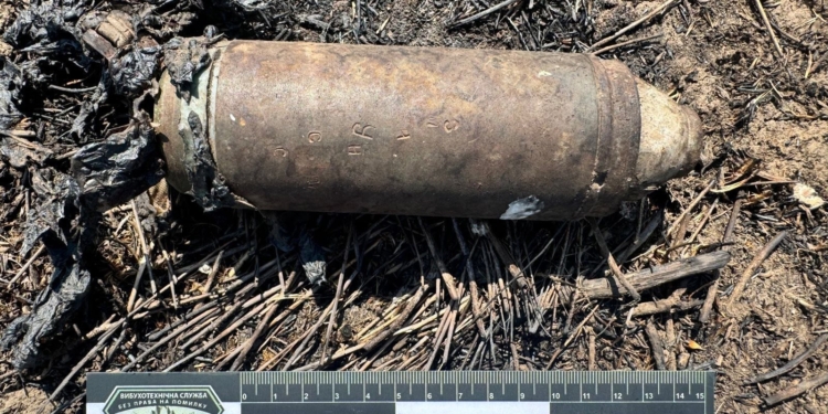 На Миколаївщині вибухотехніки поліції знешкодили вкрай небезпечний касетний снаряд та вилучили гранату (ФОТО)