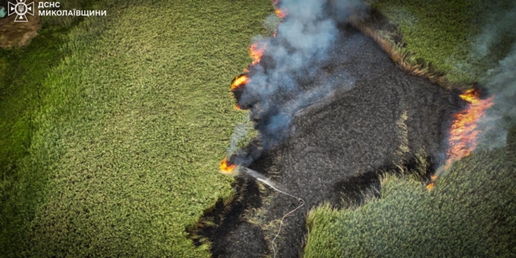 Пожежу очерету площею 2,5 га поблизу Миколаєва ліквідовано