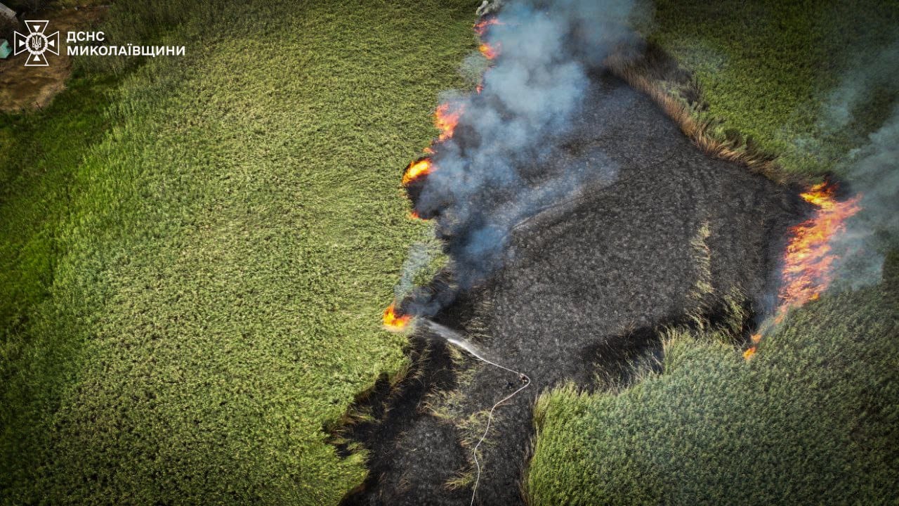 Пожежу очерету площею 2,5 га поблизу Миколаєва ліквідовано