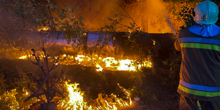 На Миколаївщині палають сухостої: за добу вигоріло понад 22 га (ФОТО)