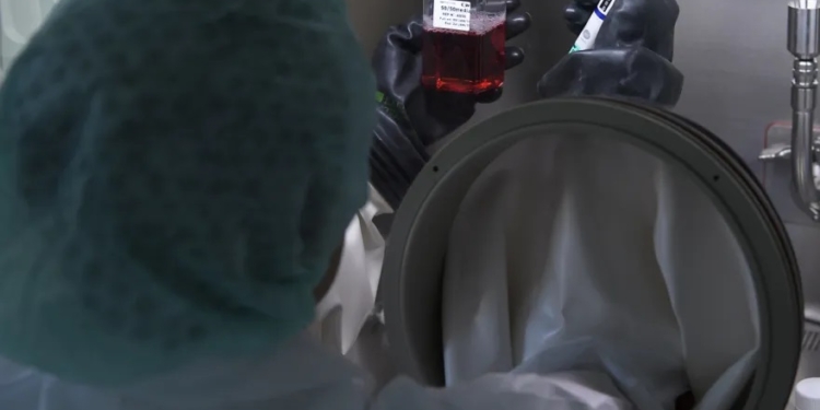 Дослідники з Цюріха визначили тригер виникнення раку