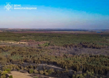 На Миколаївщині загасили масштабну лісову пожежу: відкритих осередків горіння не спостерігається