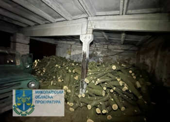 Незаконна порубка лісу зі збитками понад 1 млн грн – на Миколаївщині судитимуть трьох членів ОЗГ, яку організував правоохоронець 