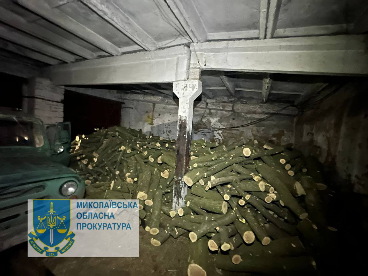 Незаконна порубка лісу зі збитками понад 1 млн грн – на Миколаївщині судитимуть трьох членів ОЗГ, яку організував правоохоронець