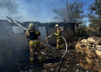 На одній із 32 пожеж за добу у Миколаївській області загинуло двоє чоловіків (ФОТО)