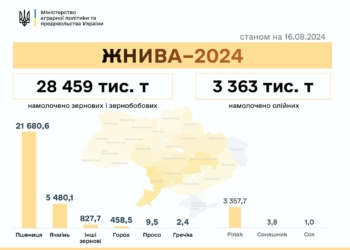 В Україні вже намолочено понад 31,9 мільйонів тонн зернових та олійних, аграрії Миколаївщини вже збирають соняшник