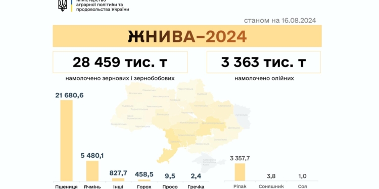 В Україні вже намолочено понад 31,9 мільйонів тонн зернових та олійних, аграрії Миколаївщини вже збирають соняшник