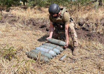 На Миколаївщині вибухотехніки поліції вилучили для подальшого знищення артснаряди (ФОТО)