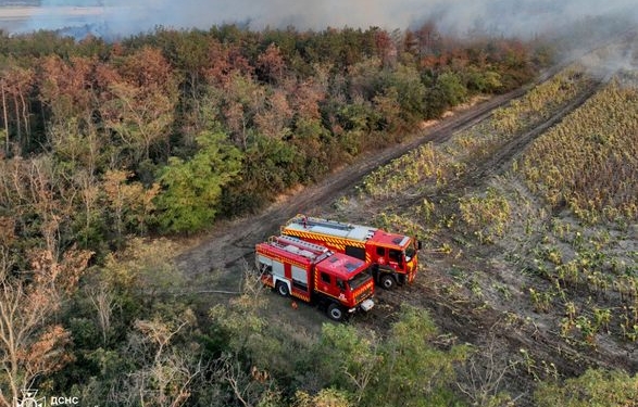 Миколаївщина у вогні. За добу горіло 63 га. Де саме (ВІДЕО)