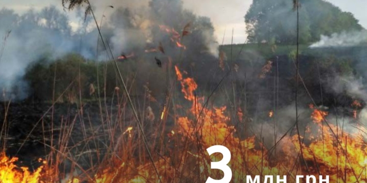 В повітря потрапила понад тисяча тонн вуглецю: ДЕІ обрахувала збитки від пожежі в Миколаєві