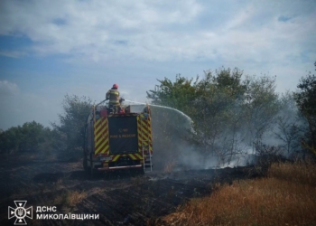 Миколаївщина у вогні – горіли відкриті території і хтось підпалив ВАЗ