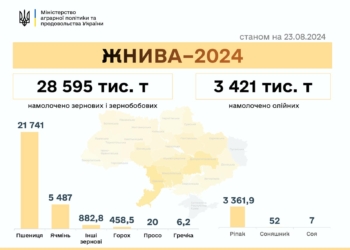 В Україні намолочено 32,02 млн тонн нового врожаю, а в деяких регіонах розпочали збирати цукрові буряки
