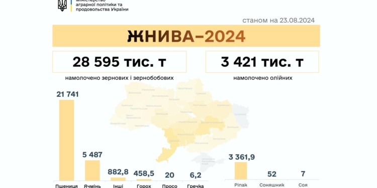 В Україні намолочено 32,02 млн тонн нового врожаю, а в деяких регіонах розпочали збирати цукрові буряки