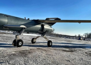 Ефективний гібрид. Що відомо про ракету-дрон “Паляниця”