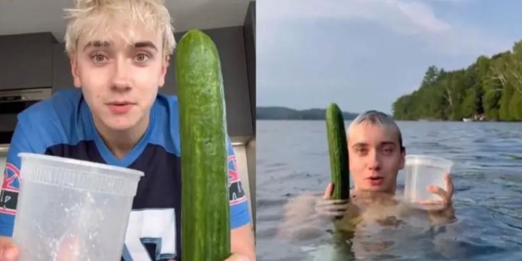 В Ісландії ТікТок обвалив ринок огірків – розкупили всі (ФОТО)