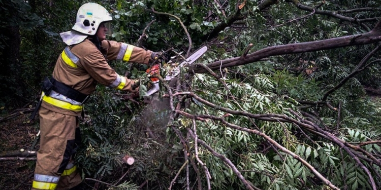На Миколаївщині рятувальники прибрали 7 дерев, які «упустила» негода (ФОТО)