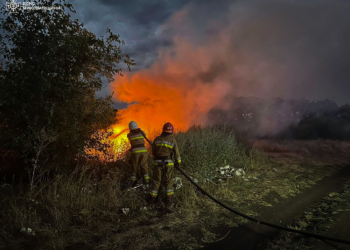 Дощ мало допоміг – на Миколаївщині за добу вигоріло понад 45 га відкритих територій (ФОТО)