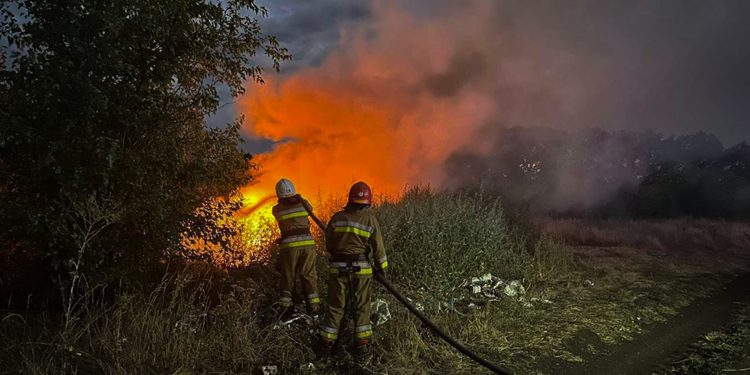 Дощ мало допоміг – на Миколаївщині за добу вигоріло понад 45 га відкритих територій (ФОТО)
