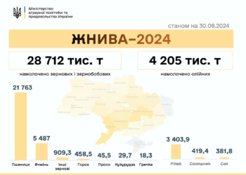 В Україні намолочено майже 33 млн тонн нового врожаю – розпочали збирати кукурудзу