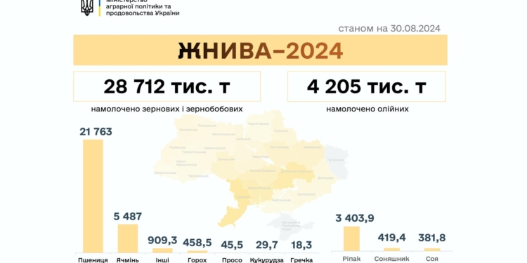 В Україні намолочено майже 33 млн тонн нового врожаю – розпочали збирати кукурудзу