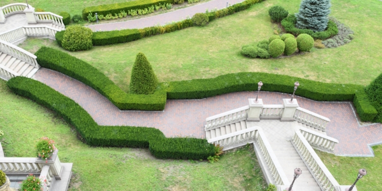 За два тижні роботи на державу парк-пам’ятка «Межигір’я», який колись був резиденцією Януковича, заробив понад 2 млн.грн. (ФОТО)