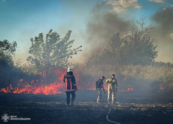 Лісова пожежа на Миколаївщині не вщухає: площа збільшилась до 70 га (ФОТО)