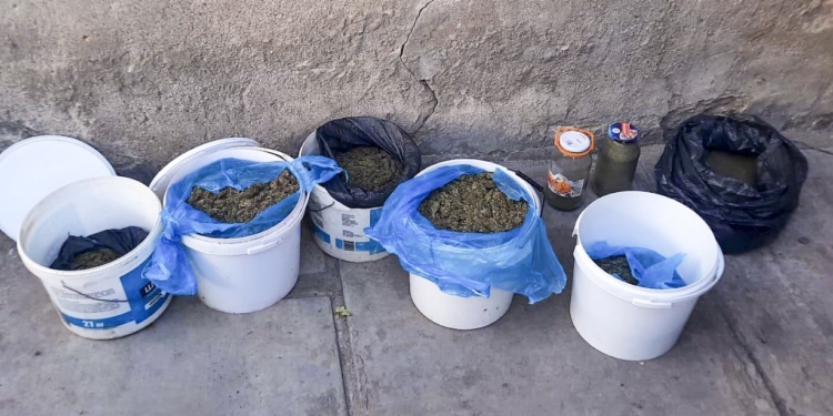 На Миколаївщині поліцейські вилучили у мешканця Баштанки канабіс на понад 1,5 млн.грн. (ФОТО, ВІДЕО)