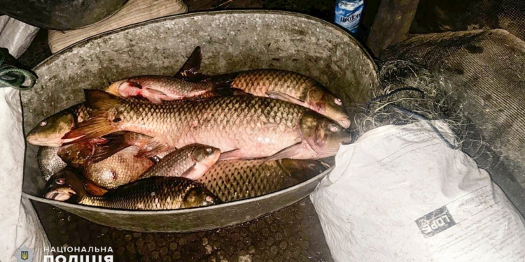 Миколаєвець наловив карасів, лящів і сазанів – конфіскували все, ще й посадити  можуть (ФОТО)