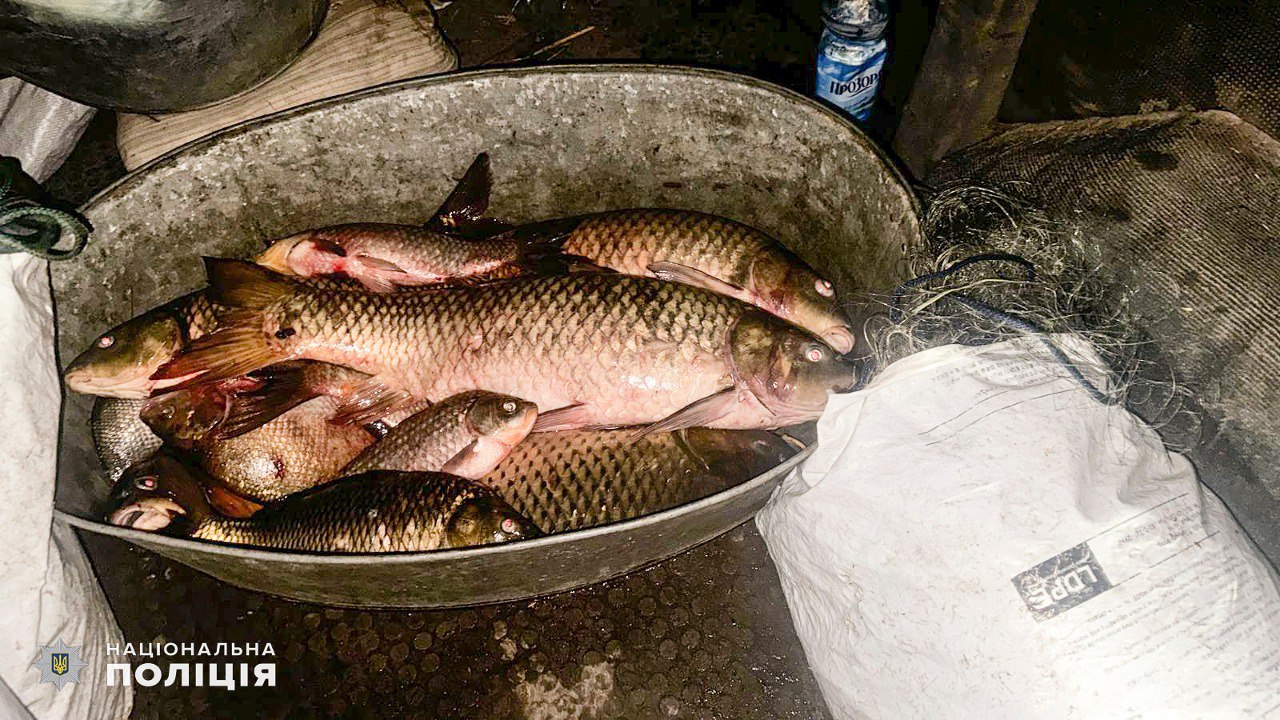 Миколаєвець наловив карасів, лящів і сазанів – конфіскували все, ще й посадити  можуть (ФОТО)