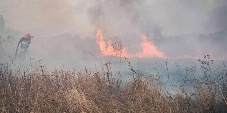 Миколаївщина у вогні. Горіло на 25 га, де і що саме (ФОТО)