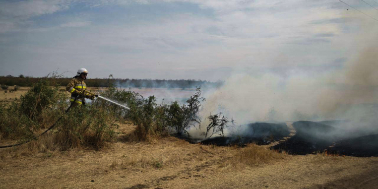 Пожежі на Миколаївщині за добу: в Єланці ледь не вчаділа жінка, у Миколаєві горів кіоск, а дощі скоротили кількість загорянь в екосистемах до 6 (ФОТО)