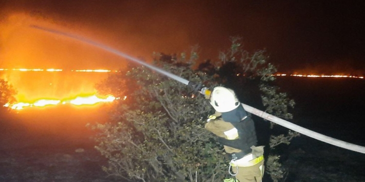 Миколаївщина все ще у вогні – горіло звалище і будинок через ворожий дрон (ФОТО)