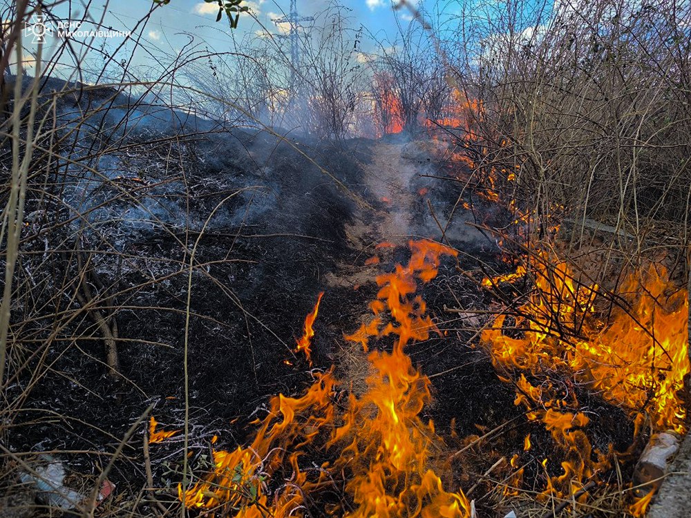 У Миколаєві горить кладовище - на 2 га (ФОТО) 4