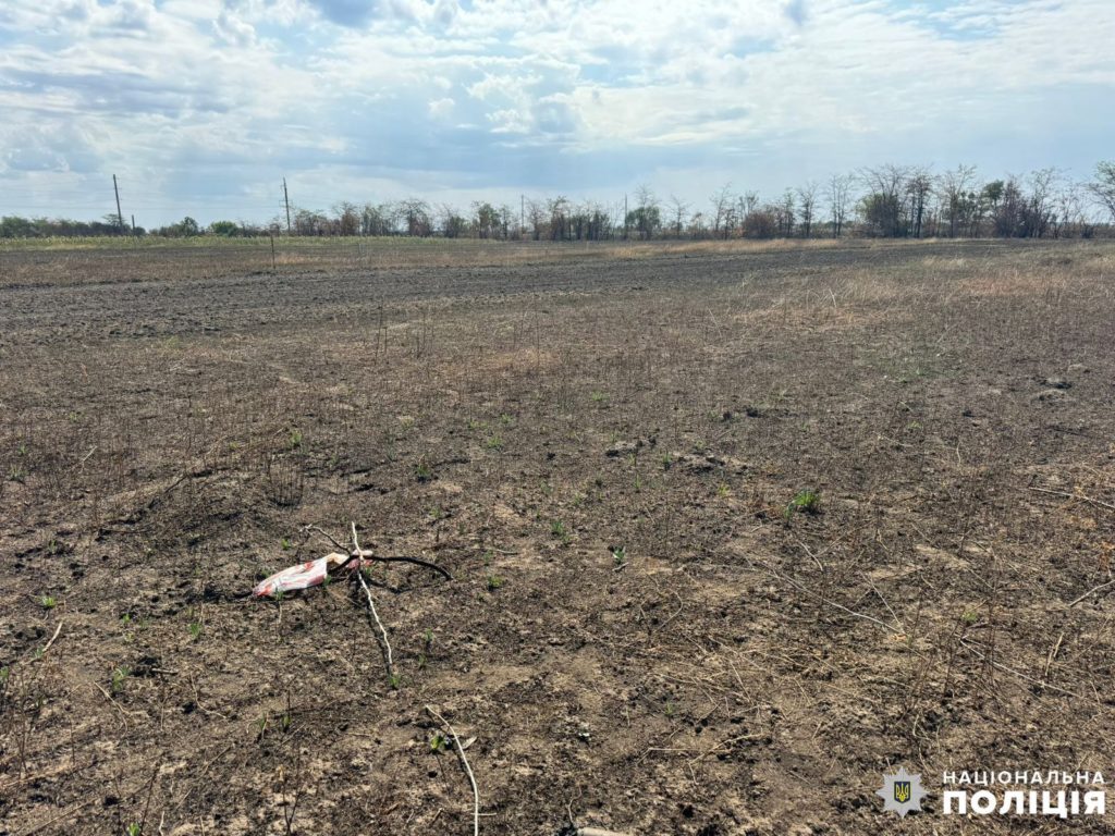 На Миколаївщині вибухотехніки поліції знешкодили вкрай небезпечний касетний снаряд та вилучили гранату (ФОТО) 4