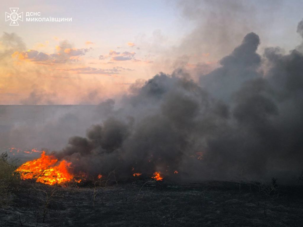 "Чорну пожежу" під Миколаєвом локалізували (ФОТО) 6