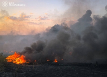 “Чорну пожежу” під Миколаєвом локалізували (ФОТО)