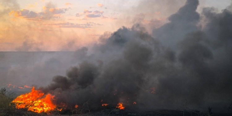 “Чорну пожежу” під Миколаєвом локалізували (ФОТО)