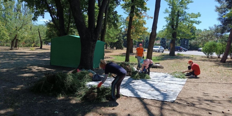 У Миколаєві завершилась акція «Вирви амброзію – отримай кошти» – які результати (ФОТО)