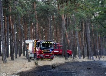 У Миколаєві і Вознесенську горіло житло, в області – ліс і трава (ФОТО, ВІДЕО)