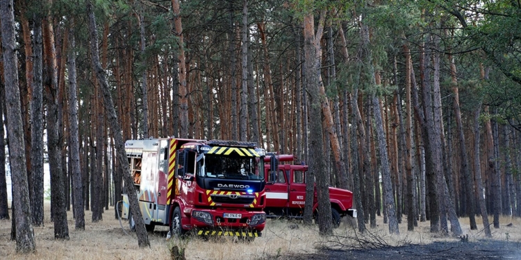 У Миколаєві і Вознесенську горіло житло, в області – ліс і трава (ФОТО, ВІДЕО)