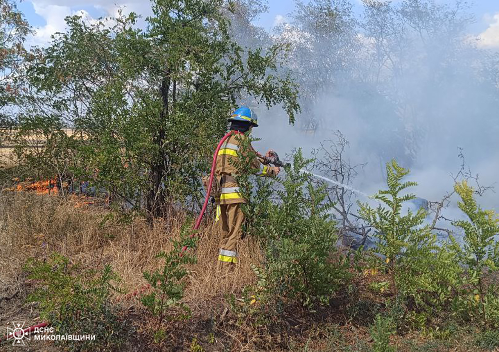 Пожежі на Миколаївщині за добу: в цілому вигоріло понад 35 га (ФОТО) 6