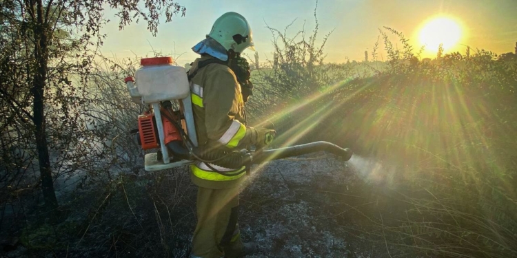 Миколаївщина у вогні. Горіли будівлі, авто, сміття, сухостій (ФОТО)
