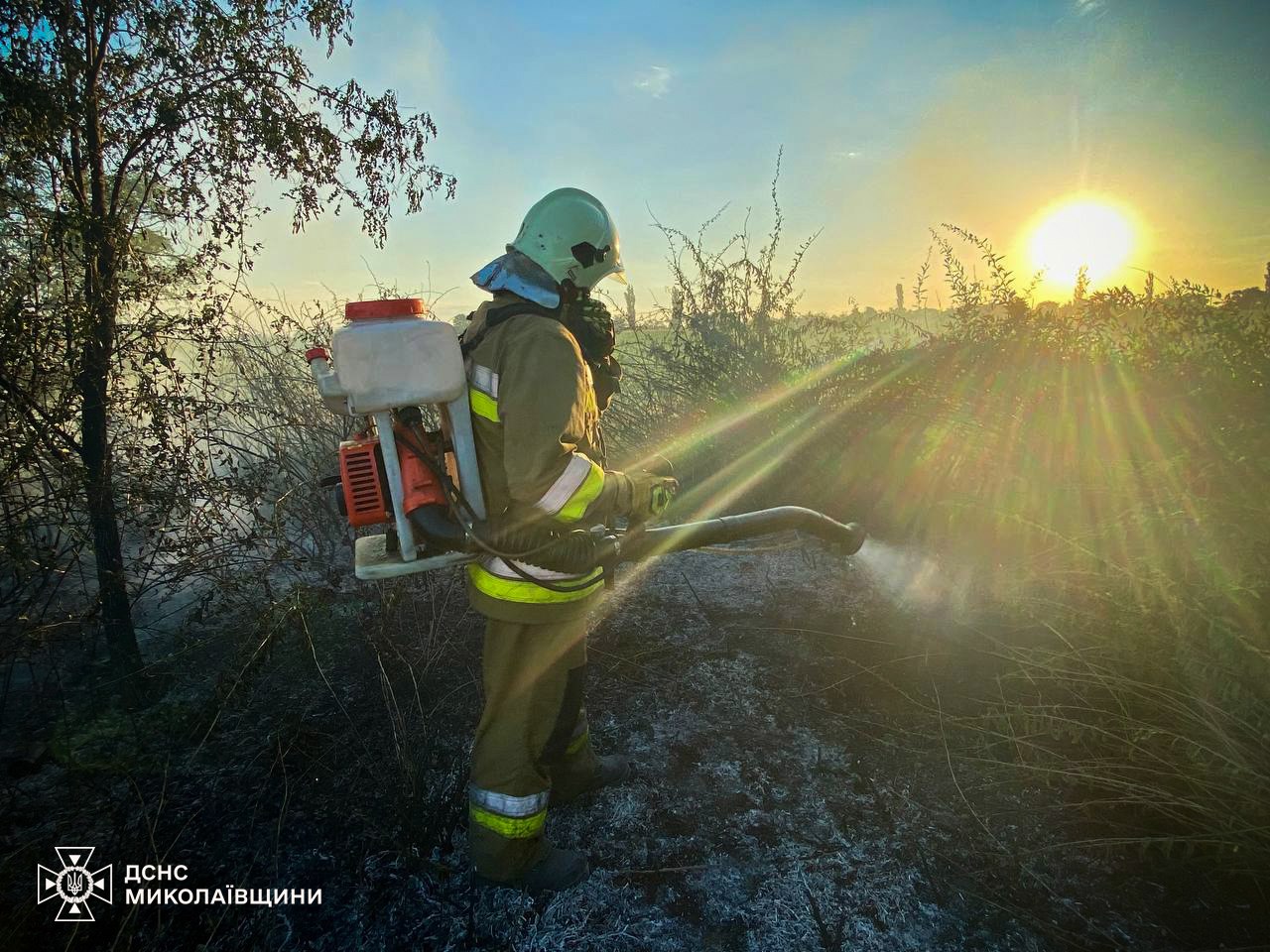 Миколаївщина у вогні. Горіли будівлі, авто, сміття, сухостій (ФОТО)