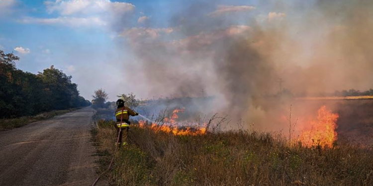 Миколаївщина у вогні – за добу горіло на 67,5 га (ФОТО)