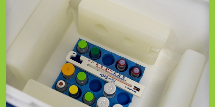 В Україну прибуло понад 1 млн. доз дитячої оральної вакцини проти поліомієліту (ФОТО)